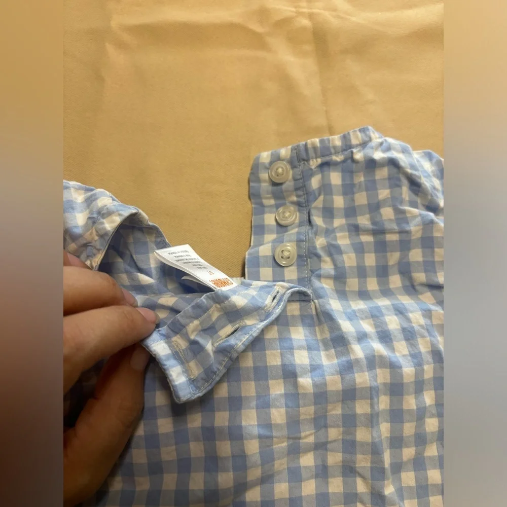Gymboree Blue and‎ White Gingham Blouse with Ruffle and Daisies